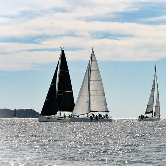 BBS Sailing | Un'esperienza unica, ricca di emozioni